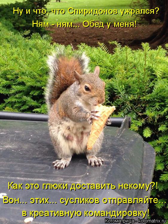 Ну и что, что Спиридонов ужрался? Ням - ням... Обед у меня! в креативную командировку! Как это глюки ... Котоматрица: Ну и что, что Спиридонов ужрался? Ням - ням... Обед у меня! в креативную командировку! Как это глюки доставить некому?! Вон... этих... сусликов отп