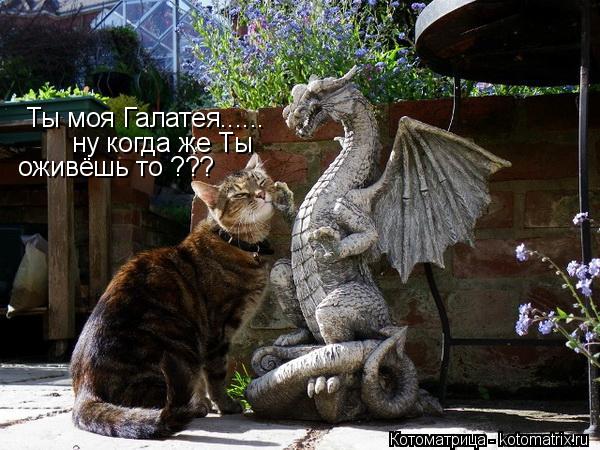 Ты моя Галатея...... ну когда же Ты оживёшь то ???... Котоматрица: Ты моя Галатея...... ну когда же Ты оживёшь то ???