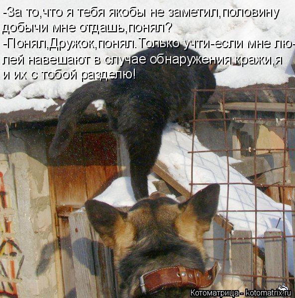 -За то,что я тебя якобы не заметил,половину добычи мне отдашь,понял? -Понял,Дружок,понял.Только учти-... Котоматрица: -За то,что я тебя якобы не заметил,половину добычи мне отдашь,понял? -Понял,Дружок,понял.Только учти-если мне лю- лей навешают в случае обнару