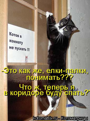 -Это как же, елки-палки, понимать??? Что ж, теперь я в коридоре буду спать???... Котоматрица: -Это как же, елки-палки, понимать??? Что ж, теперь я в коридоре буду спать???