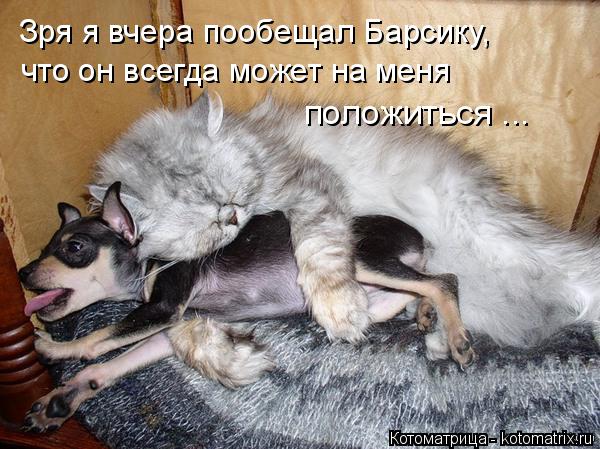 Котоматрица: Зря я вчера пообещал Барсику,  что он всегда может на меня  положиться ...