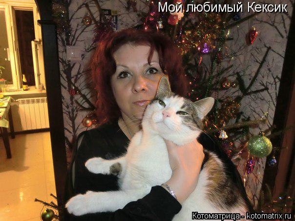 Котоматрица: Мой любимый Кексик