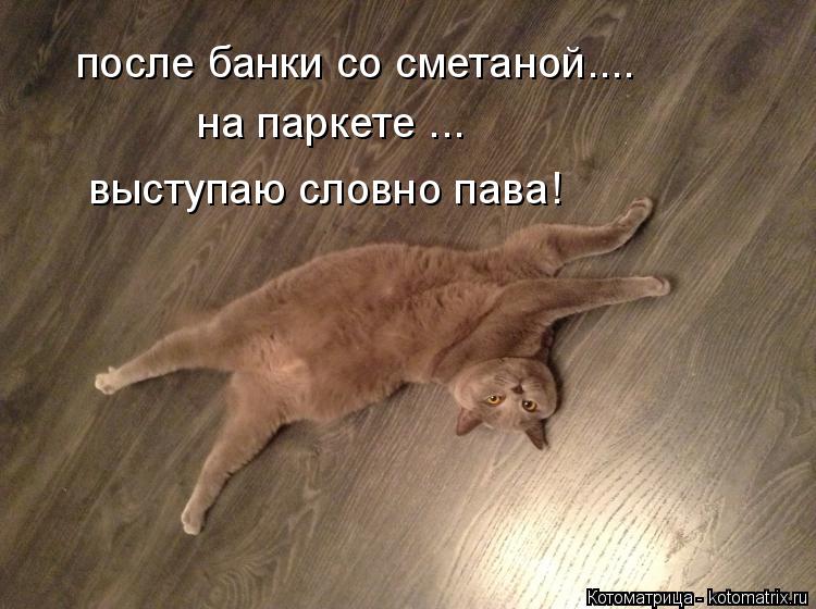 после банки со сметаной.... на паркете ... выступаю словно пава!... Котоматрица: после банки со сметаной.... на паркете ... выступаю словно пава!