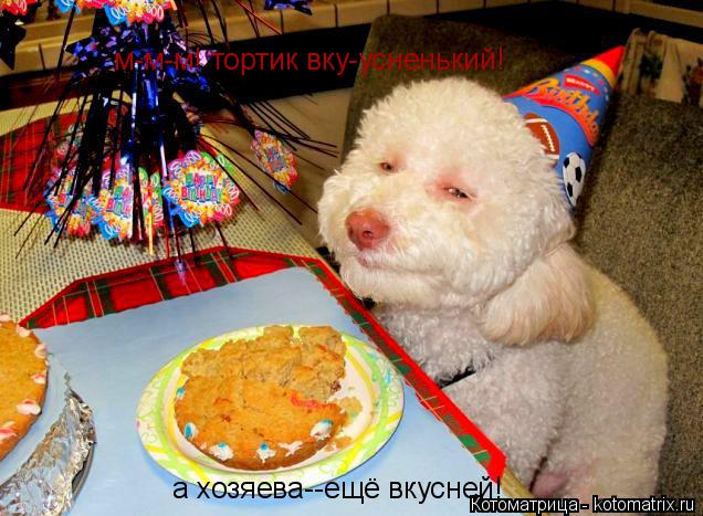 Котоматрица: м-м-м! тортик вку-усненький! а хозяева--ещё вкусней!