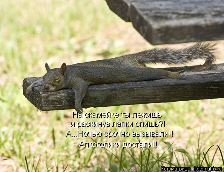 Алкоголики достали!!! На скамейке ты лежишь и раскинув лапки спишь?! А...Ночью срочно вызывали!!... Котоматрица: Алкоголики достали!!! На скамейке ты лежишь и раскинув лапки спишь?! А...Ночью срочно вызывали!!