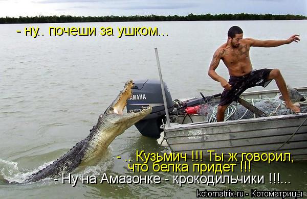 - ну.. почеши за ушком... - .. Кузьмич !!! Ты ж говорил, что белка придет !!! - Ну на Амазонке - кро... Котоматрица: - ну.. почеши за ушком... - .. Кузьмич !!! Ты ж говорил, что белка придет !!! - Ну на Амазонке - крокодильчики !!!...