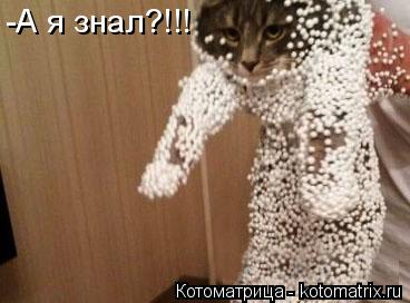 Котоматрица: -А я знал?!!!