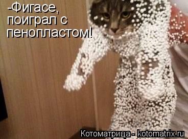 Котоматрица: -Фигасе,  поиграл с пенопластом!