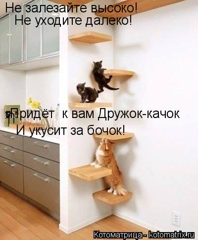Не залезайте высоко! Не уходите далеко! Придёт к вам Дружок-качок И укусит за бочок!... Котоматрица: Не залезайте высоко! Не уходите далеко! Придёт к вам Дружок-качок И укусит за бочок!