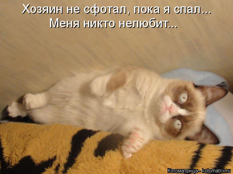 Котоматрица: Хозяин не сфотал, пока я спал... Меня никто нелюбит...