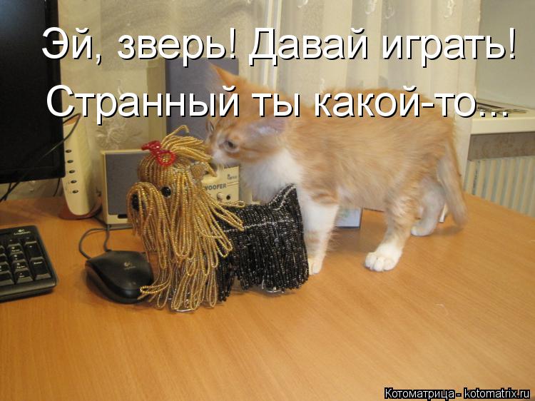 Эй, зверь! Давай играть! Странный ты какой-то...... Котоматрица: Эй, зверь! Давай играть! Странный ты какой-то...