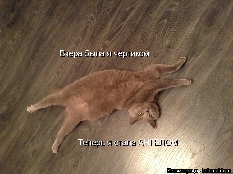 Вчера была я чёртиком .... Вчера была я чёртиком .... Теперь я стала АНГЕЛОМ... Котоматрица: Вчера была я чёртиком .... Вчера была я чёртиком .... Теперь я стала АНГЕЛОМ