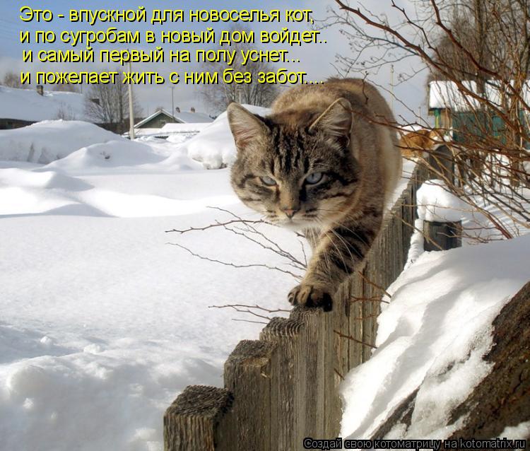 Это - впускной для новоселья кот, и по сугробам в новый дом войдет.. и самый первый на полу уснет... ... Котоматрица: Это - впускной для новоселья кот, и по сугробам в новый дом войдет.. и самый первый на полу уснет... и пожелает жить с ним без забот....