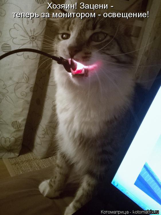 Котоматрица: Хозяин! Зацени - теперь за монитором - освещение!