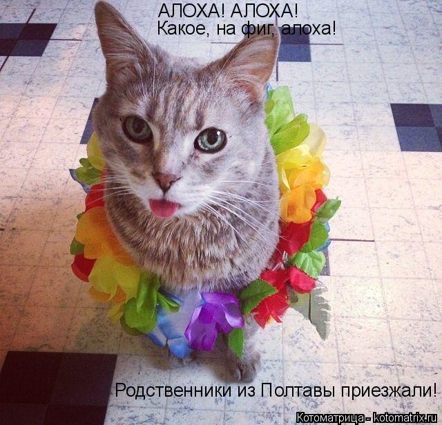 АЛОХА! АЛОХА! Какое, на фиг, алоха! Родственники из Полтавы приезжали!... Котоматрица: АЛОХА! АЛОХА! Какое, на фиг, алоха! Родственники из Полтавы приезжали!