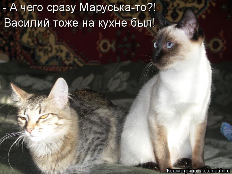 - А чего сразу Маруська-то?! Василий тоже на кухне был!... Котоматрица: - А чего сразу Маруська-то?! Василий тоже на кухне был!