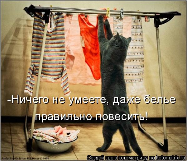 Котоматрица: -Ничего не умеете, даже белье правильно повесить!