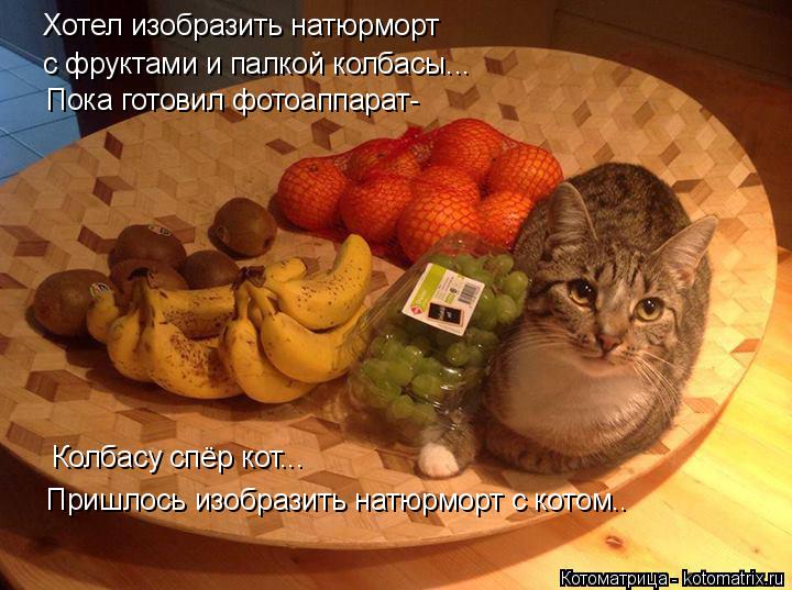Хотел изобразить натюрморт с фруктами и палкой колбасы... Пока готовил фотоаппарат- Колбасу спёр кот... Котоматрица: Хотел изобразить натюрморт с фруктами и палкой колбасы... Пока готовил фотоаппарат- Колбасу спёр кот... Пришлось изобразить натюрморт с кот