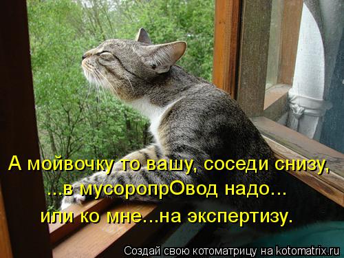 А мойвочку то вашу, соседи снизу, ...в мусоропрОвод надо... или ко мне...на экспертизу.... Котоматрица: А мойвочку то вашу, соседи снизу, ...в мусоропрОвод надо... или ко мне...на экспертизу.