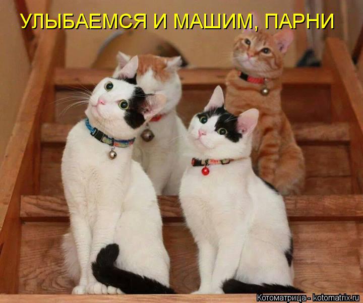 УЛЫБАЕМСЯ И МАШИМ, ПАРНИ... Котоматрица: УЛЫБАЕМСЯ И МАШИМ, ПАРНИ