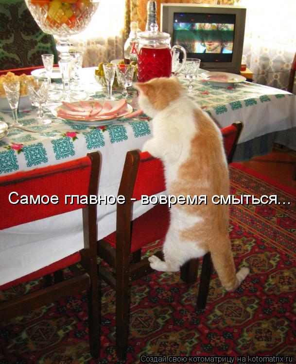 Котоматрица: Самое главное - вовремя смыться...