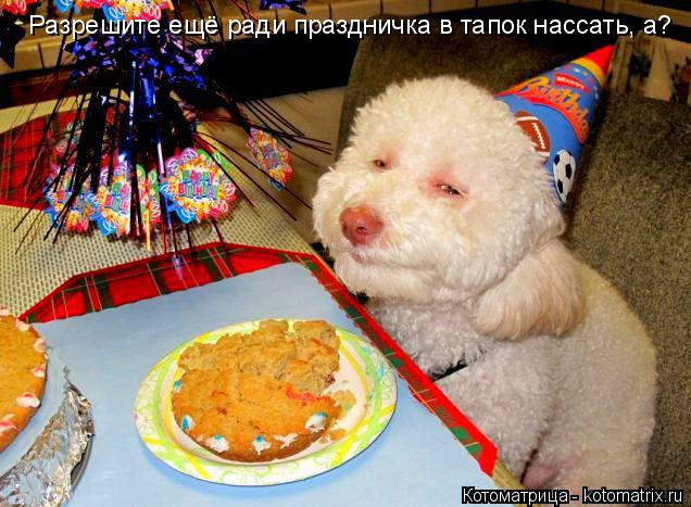 Котоматрица: Разрешите ещё ради праздничка в тапок нассать, а?