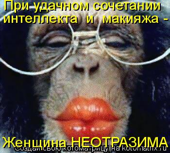 Котоматрица: При удачном сочетании  Женщина НЕОТРАЗИМА! интеллекта  и  макияжа -