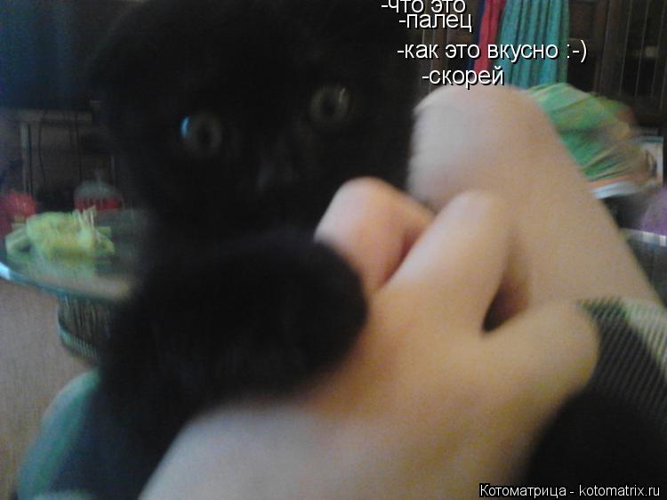 Котоматрица: -что это -палец -как это вкусно :-) -скорей