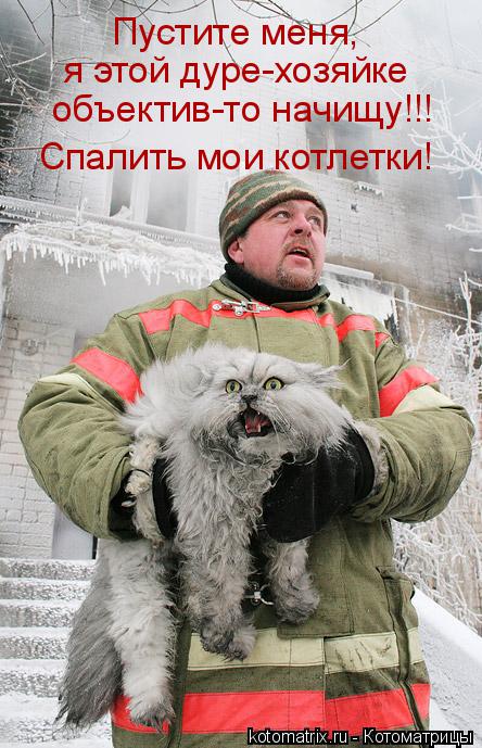 Котоматрица: Пустите меня, объектив-то начищу!!! я этой дуре-хозяйке Спалить мои котлетки!