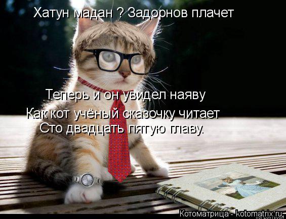 Котоматрица: Хатун мадан ? Задорнов плачет Теперь и он увидел наяву Как кот учёный сказочку читает Сто двадцать пятую главу.
