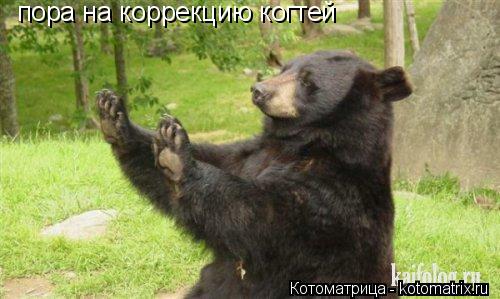 Котоматрица: пора на коррекцию когтей