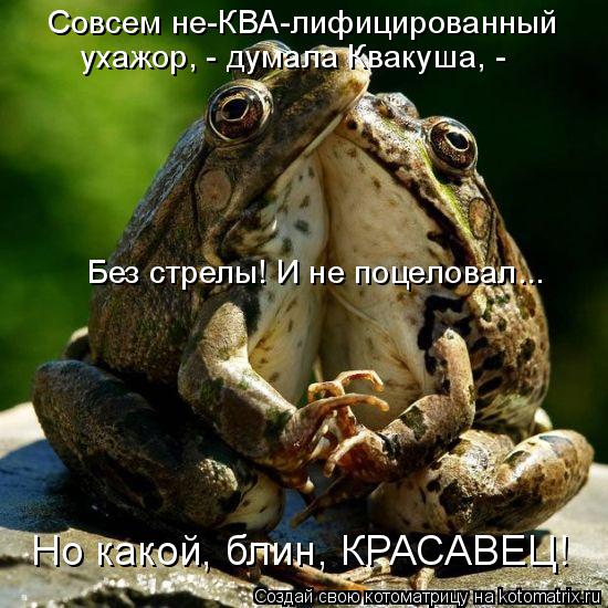 Котоматрица: Совсем не-КВА-лифицированный ухажор, - думала Квакуша, - Без стрелы! И не поцеловал... Но какой, блин, КРАСАВЕЦ!