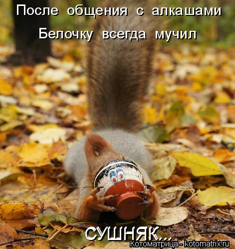 Котоматрица: СУШНЯК... СУШНЯК... После  общения  с  алкашами Белочку  всегда  мучил