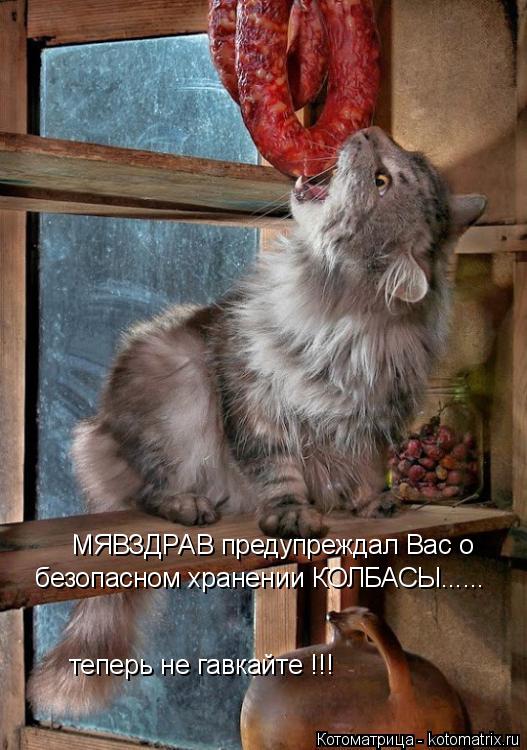 МЯВЗДРАВ предупреждал Вас о безопасном хранении КОЛБАСЫ...... теперь не гавкайте !!!... Котоматрица: МЯВЗДРАВ предупреждал Вас о безопасном хранении КОЛБАСЫ...... теперь не гавкайте !!!