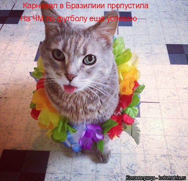 Котоматрица: Карнавал в Бразилиии пропустила На ЧМ по футболу ещё успеваю