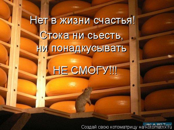 Котоматрица: Нет в жизни счастья! Стока ни сьесть,   ни понадкусывать  НЕ СМОГУ!!!