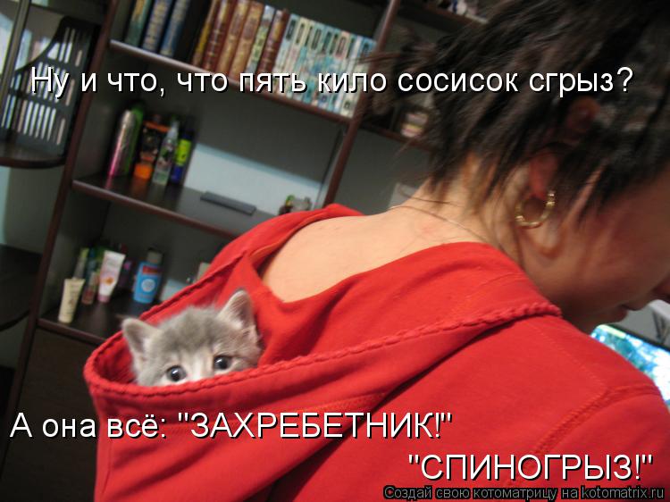 Котоматрица: Ну и что, что пять кило сосисок сгрыз? А она всё: "ЗАХРЕБЕТНИК!" "СПИНОГРЫЗ!"