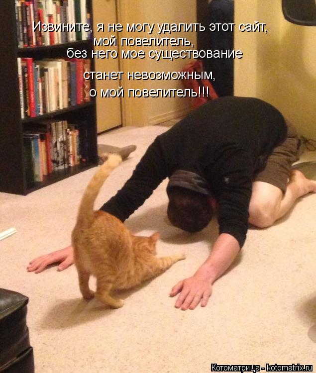 Извините, я не могу удалить этот сайт, мой повелитель, без него мое существование станет невозможн... Котоматрица: Извините, я не могу удалить этот сайт, мой повелитель, без него мое существование станет невозможным, о мой повелитель!!!