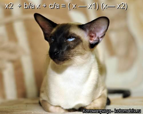 Котоматрица: x2  + b/a x + c/a = ( x — x1) (x— х2)