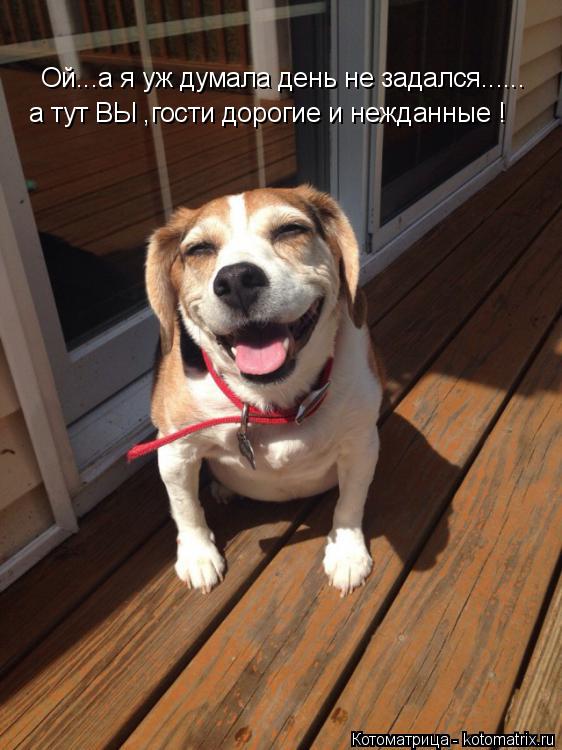 Ой...а я уж думала день не задался...... а тут ВЫ ,гости дорогие и нежданные !... Котоматрица: Ой...а я уж думала день не задался...... а тут ВЫ ,гости дорогие и нежданные !