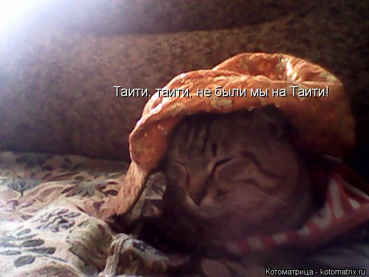 Котоматрица: Таити, таити, не были мы на Таити!