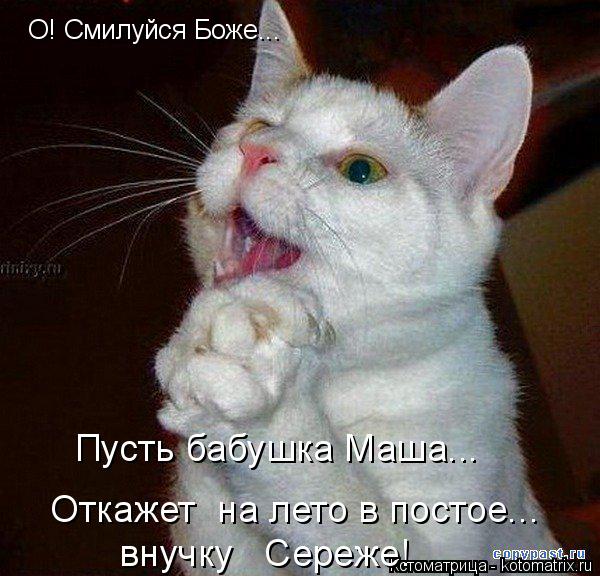 Котоматрица: О! Смилуйся Боже... Пусть бабушка Маша... Откажет  на лето в постое... внучку   Сереже!