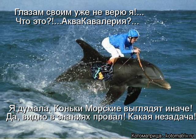 Глазам своим уже не верю я!... Что это?!...АкваКавалерия?... Я думала, Коньки Морские выглядят иначе!... Котоматрица: Глазам своим уже не верю я!... Что это?!...АкваКавалерия?... Я думала, Коньки Морские выглядят иначе! Да, видно в знаниях провал! Какая незадача!