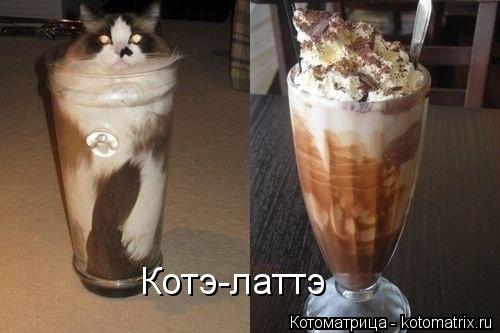 Котоматрица: Котэ-латтэ