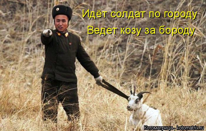 Котоматрица: Идёт солдат по городу Ведет козу за бороду