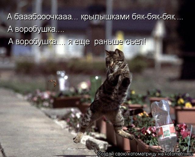 А бааабооочкааа... крылышками бяк-бяк-бяк.... А воробушка.... А воробушка.... я еще раньше съел!... Котоматрица: А бааабооочкааа... крылышками бяк-бяк-бяк.... А воробушка.... А воробушка.... я еще раньше съел!