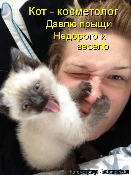Котоматрица: Кот - косметолог Давлю прыщи Недорого и весело