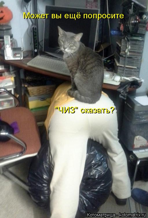 Котоматрица: Может вы ещё попросите  "ЧИЗ" сказать?