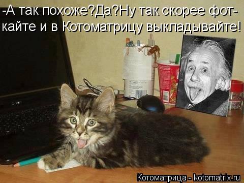 Котоматрица: -А так похоже?Да?Ну так скорее фот- кайте и в Котоматрицу выкладывайте!