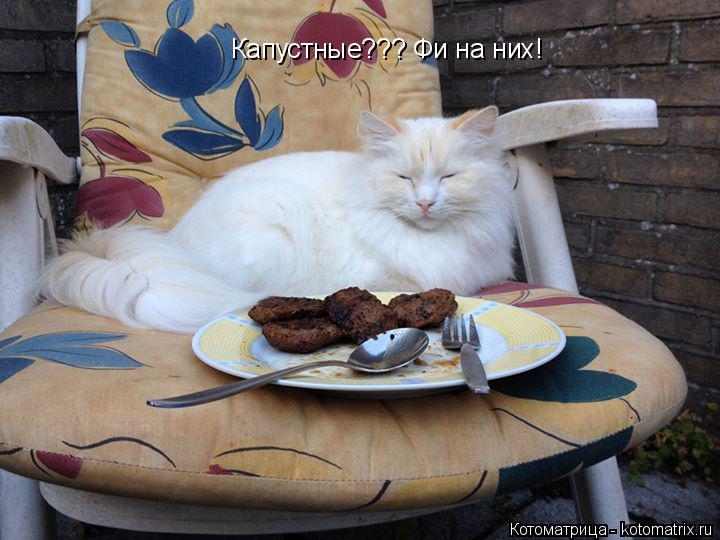 Котоматрица: Капустные??? Фи на них!